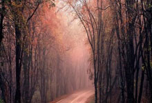 记者：恩迪迪将在今天接受贝西克塔斯体检，转会费950万欧元，贝恩德·蒂斯