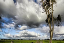 今天NBA交易转会最新消息，发生2笔交易（2025年08月02日），nba交易2021