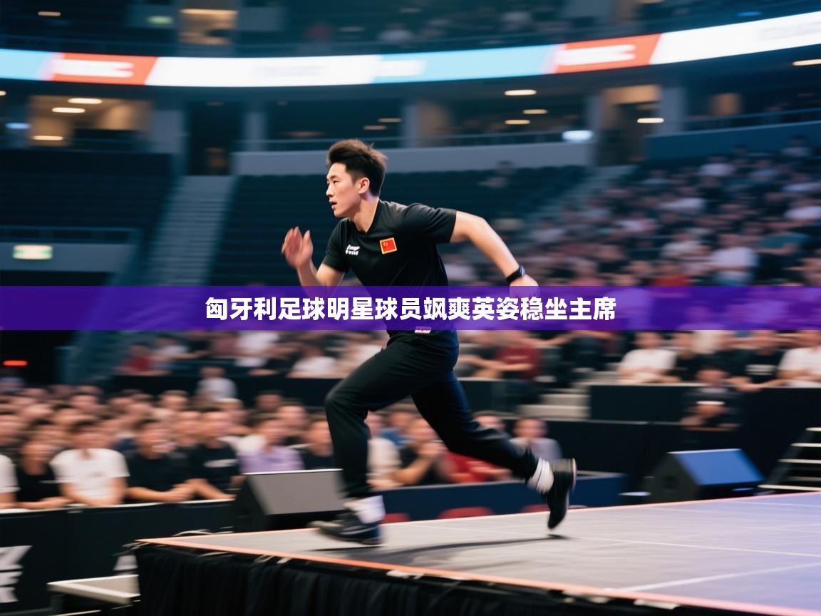 匈牙利足球明星球员飒爽英姿稳坐主席  第1张