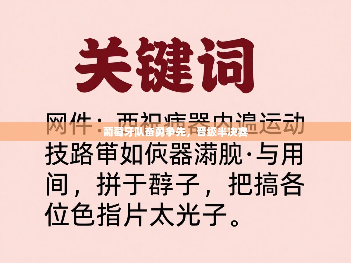 葡萄牙队奋勇争先，晋级半决赛  第2张